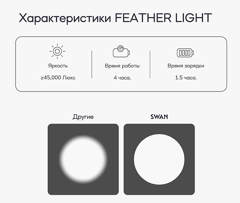 SWAN 22-2.jpg SWAN 22-2.jpg