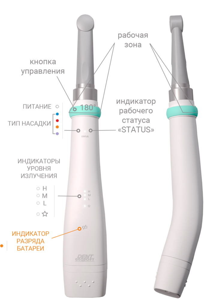 estus-light2-737x1024 копия.jpg