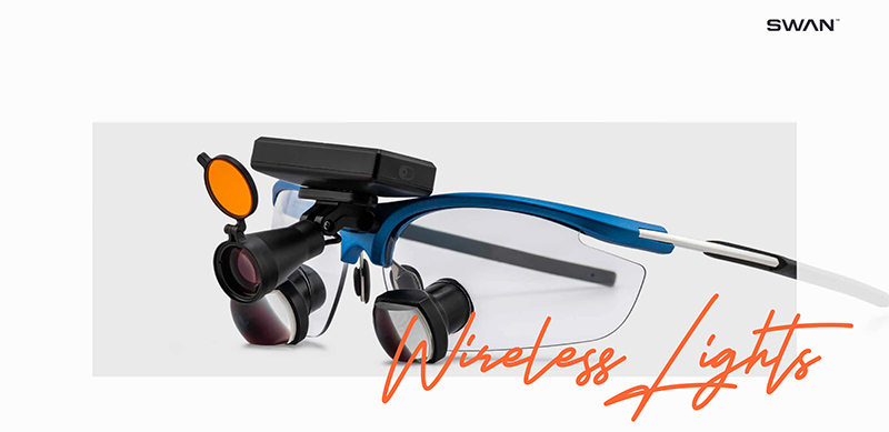 SWAN 20.jpg SWAN 20.jpg