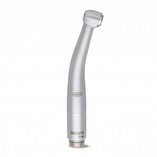 W&H DentalWerk Alegra TE-98 - турбинный наконечник со стандартной головкой (для переходника W&H RotoQuick)